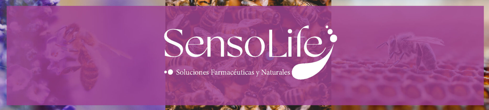 Banners_Mesa de trabajo 1-02